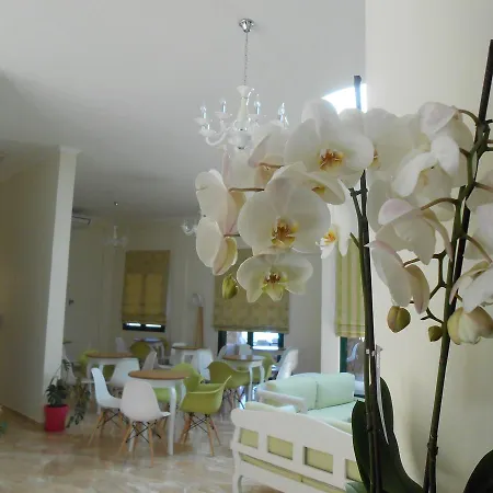 Hotel Element